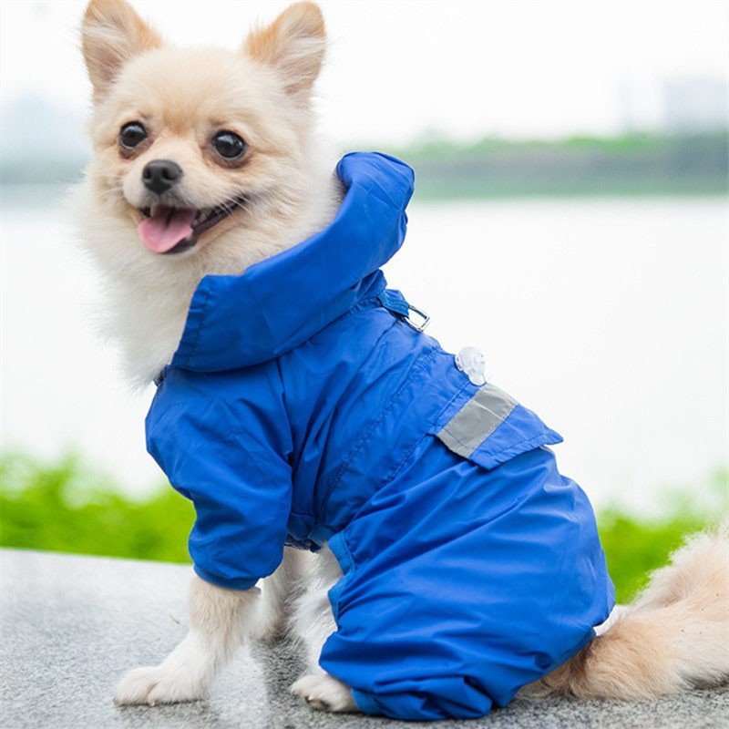 Apparel