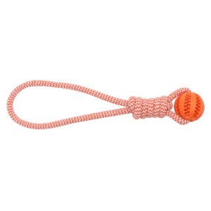 Durable Rope & Treat Ball