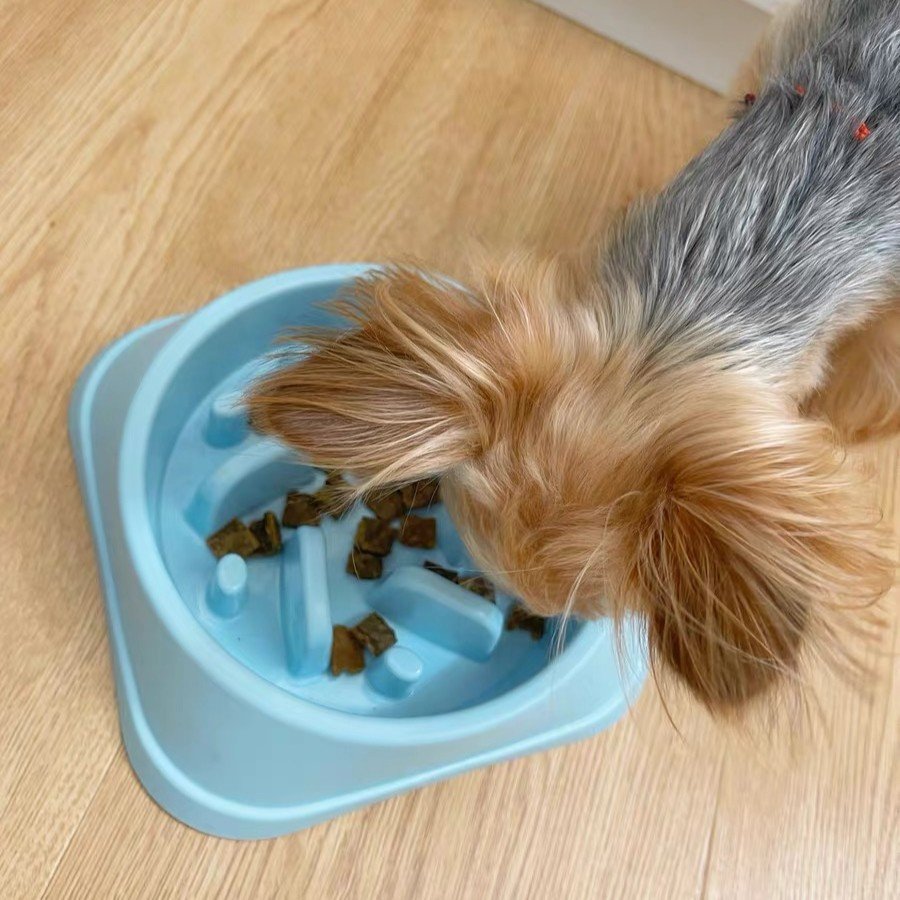 Feeding & Watering