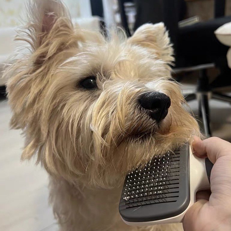 Grooming Tools
