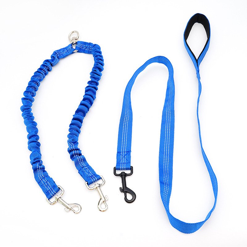 Durable Dog Leash